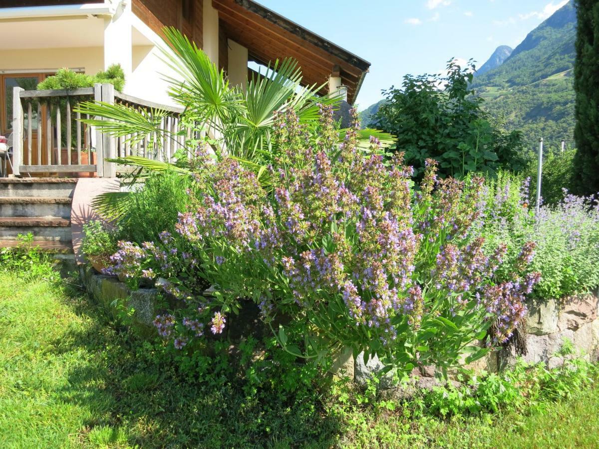 Feldererhof Appartement Postal / Burgstall Buitenkant foto